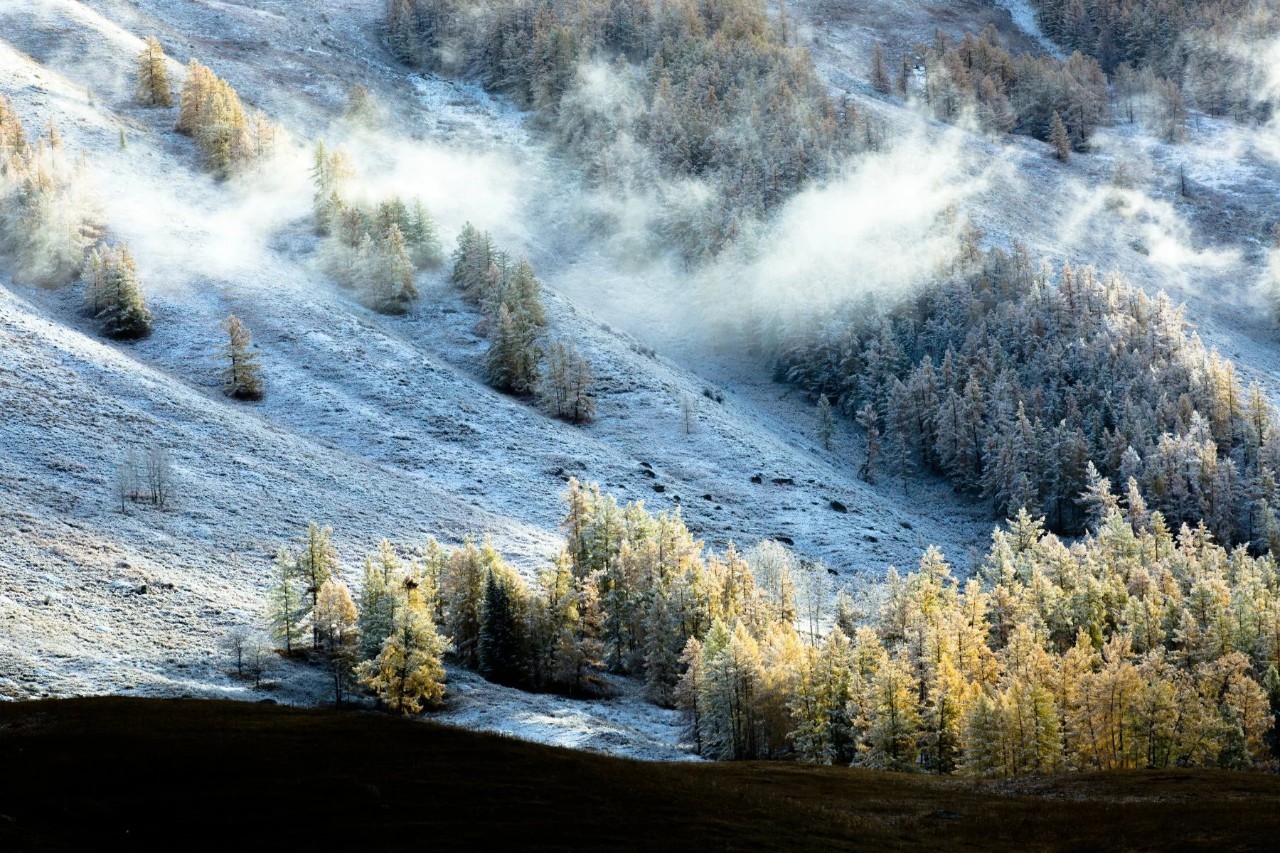 新疆，友情与家的温暖甜蜜日常